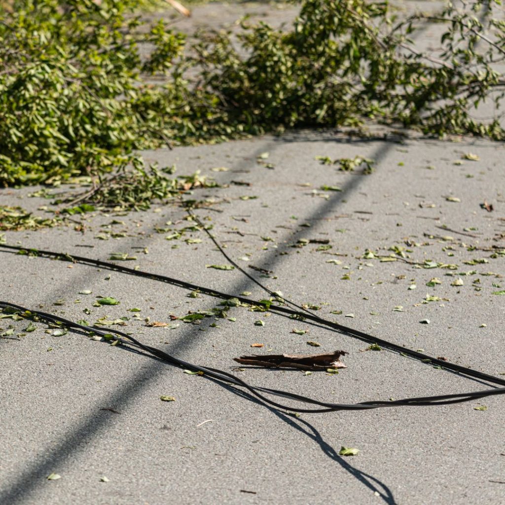 downed power lines on a road